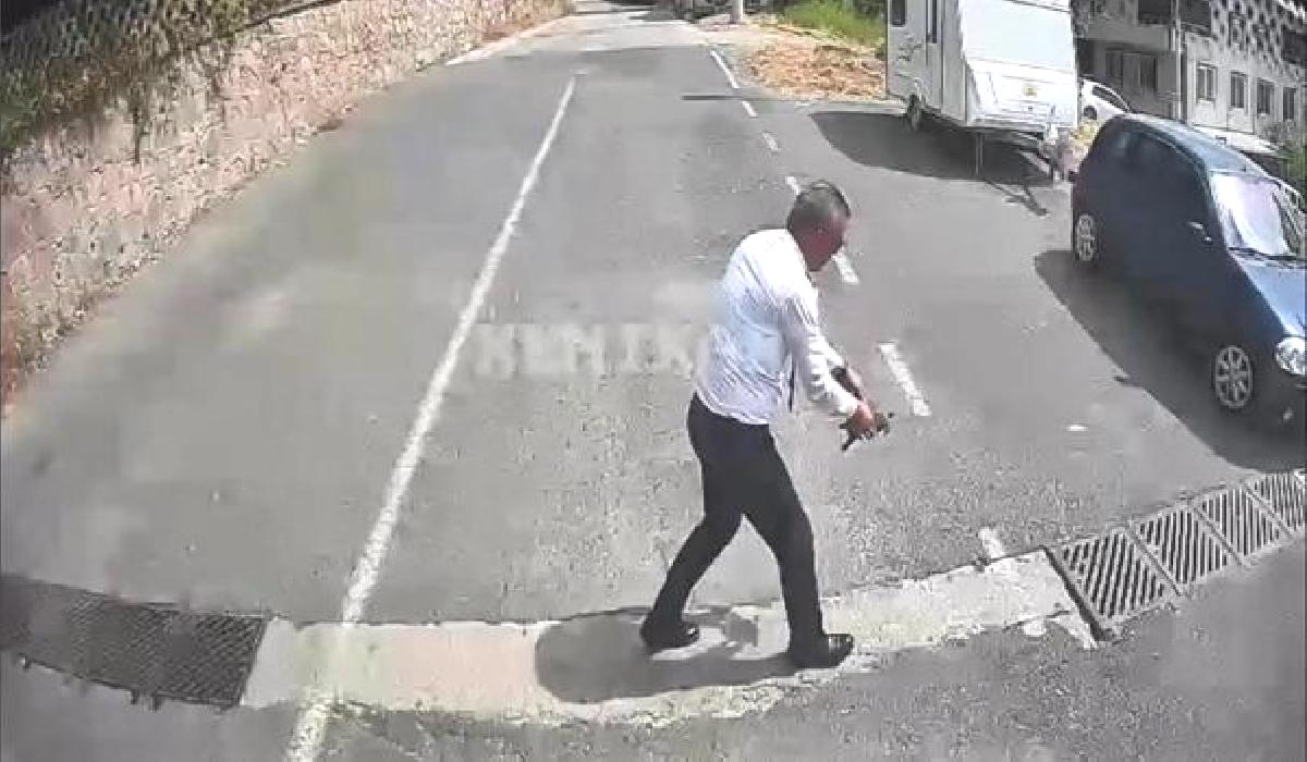 Otobüs şoföründen duyarlı davranış. Kaplumbağayı ezilmekten kurtardı