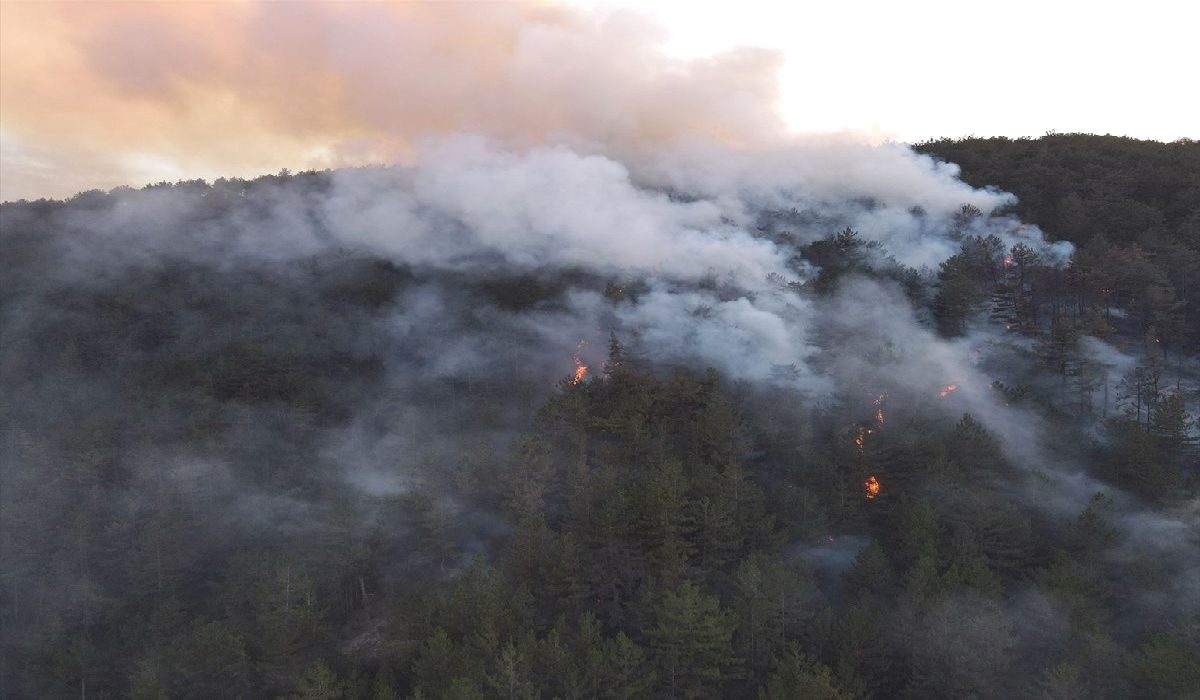 Kastamonu’da Yangın Ormana Sıçradı