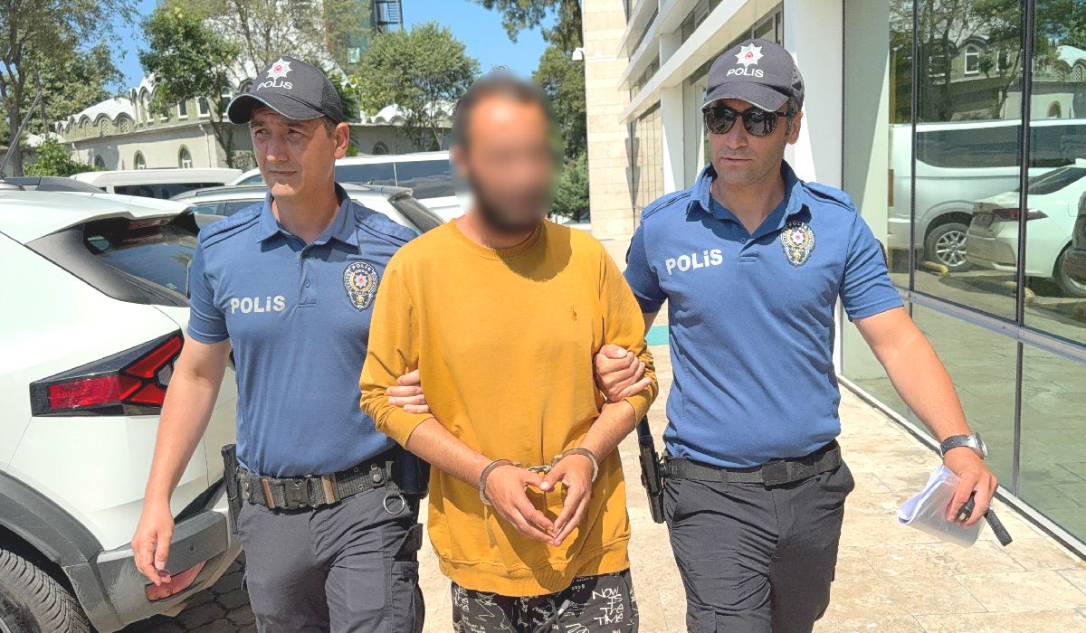 Kediye tekme atan şahıs tutuklandı: “Sinirliydim, pişmanım”